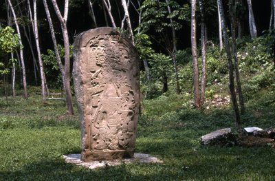 Stela 1, Terminal Classic period by Mayan